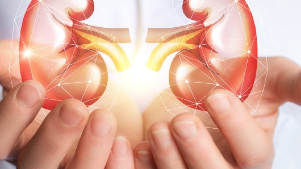 İftarıyla ve sahuruyla bu mübarek ay için böbrek sağlığı hakkında öyle bilgiler verdi ki...