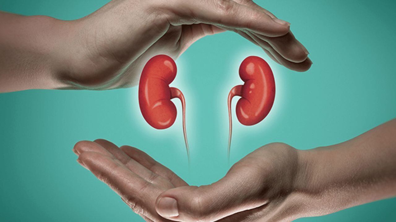 Foto - İftarıyla ve sahuruyla bu mübarek ay için böbrek sağlığı hakkında öyle bilgiler verdi ki...