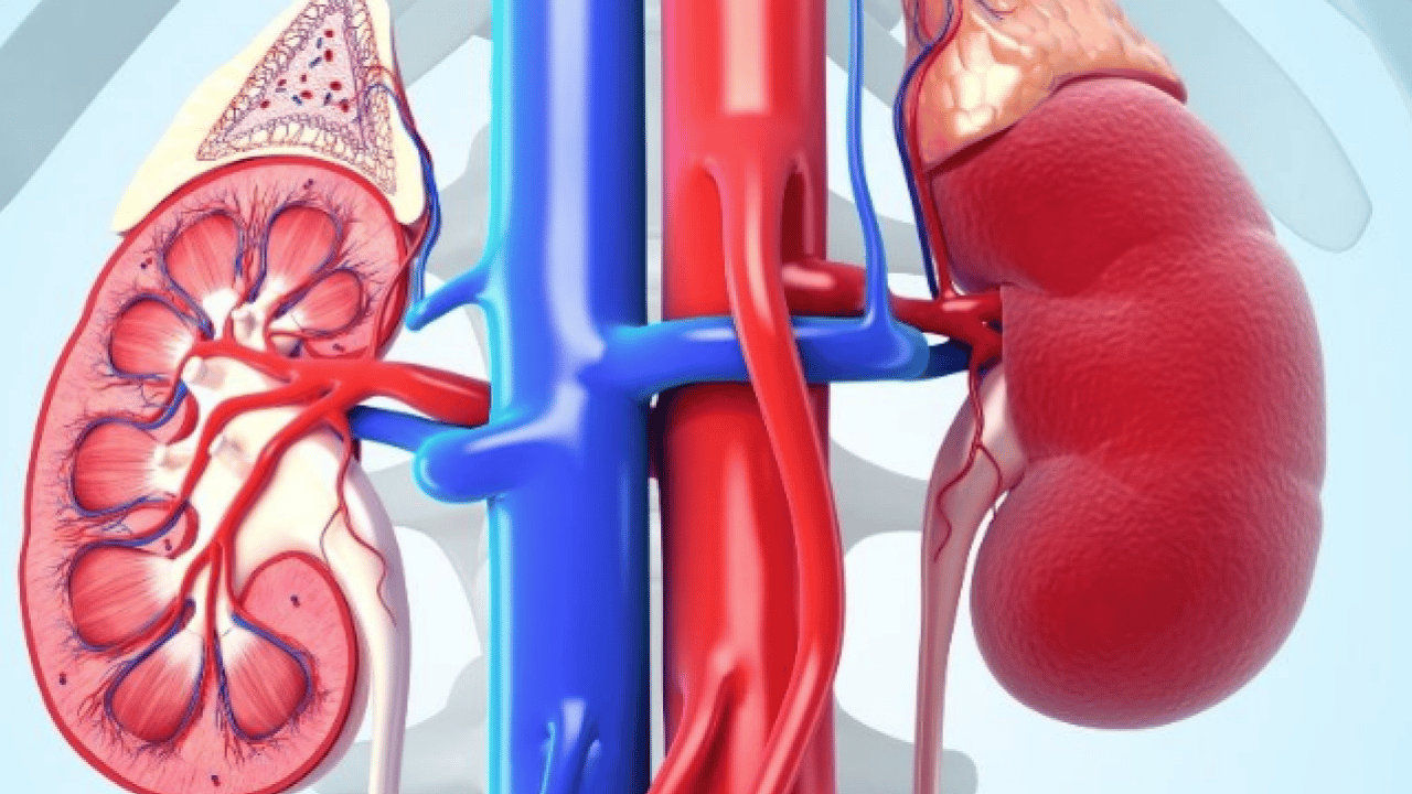 Foto - İftarıyla ve sahuruyla bu mübarek ay için böbrek sağlığı hakkında öyle bilgiler verdi ki...