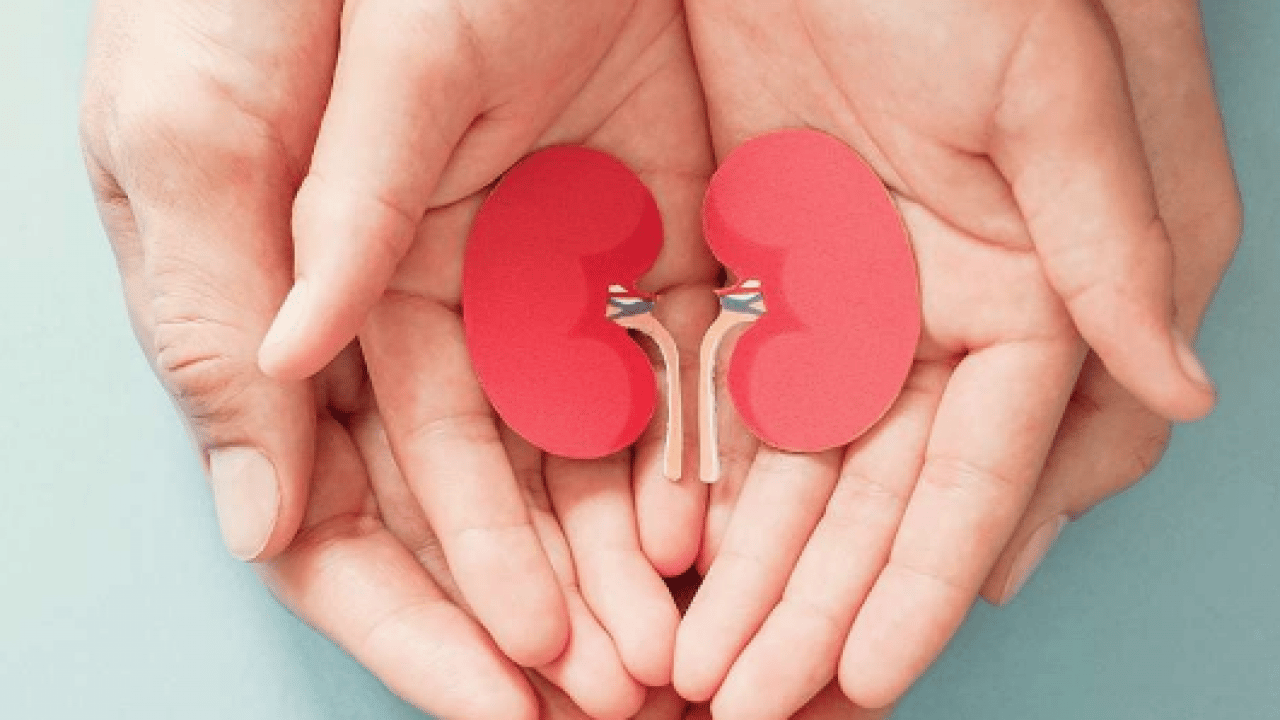 Foto - İftarıyla ve sahuruyla bu mübarek ay için böbrek sağlığı hakkında öyle bilgiler verdi ki...