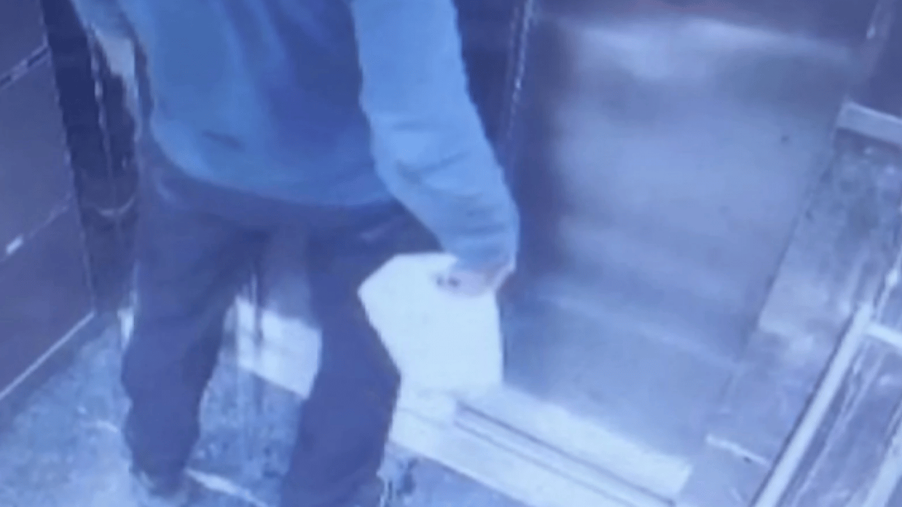 Foto - İğrenç kokunu sebebi bakın neymiş! Asansörün içinde yaptığı şoke etti