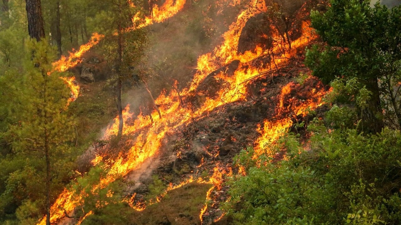 Foto - İhmal, kasıt ve dikkatsizlik ciğerlerimizi yaktı