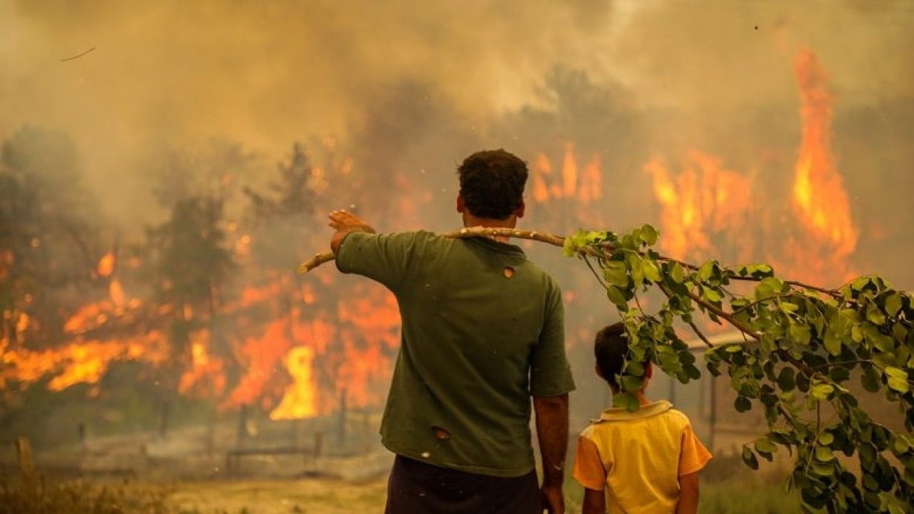 Foto - İhmal, kasıt ve dikkatsizlik ciğerlerimizi yaktı