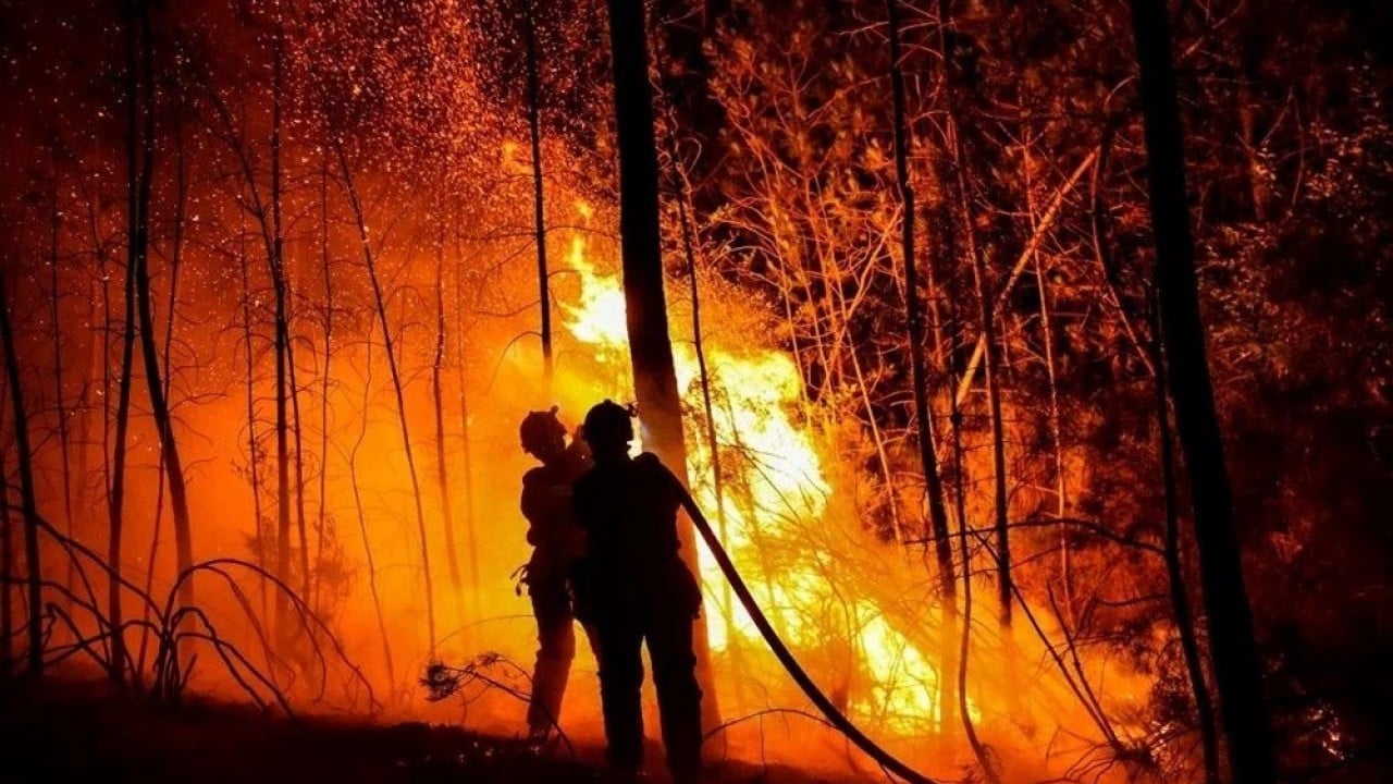 Foto - İhmal, kasıt ve dikkatsizlik ciğerlerimizi yaktı
