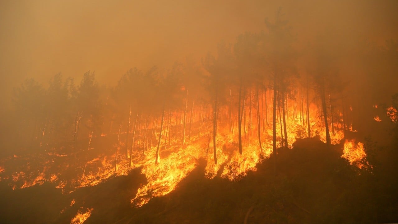 Foto - İhmal, kasıt ve dikkatsizlik ciğerlerimizi yaktı