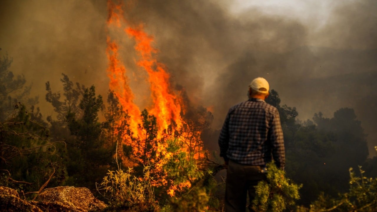 Foto - İhmal, kasıt ve dikkatsizlik ciğerlerimizi yaktı
