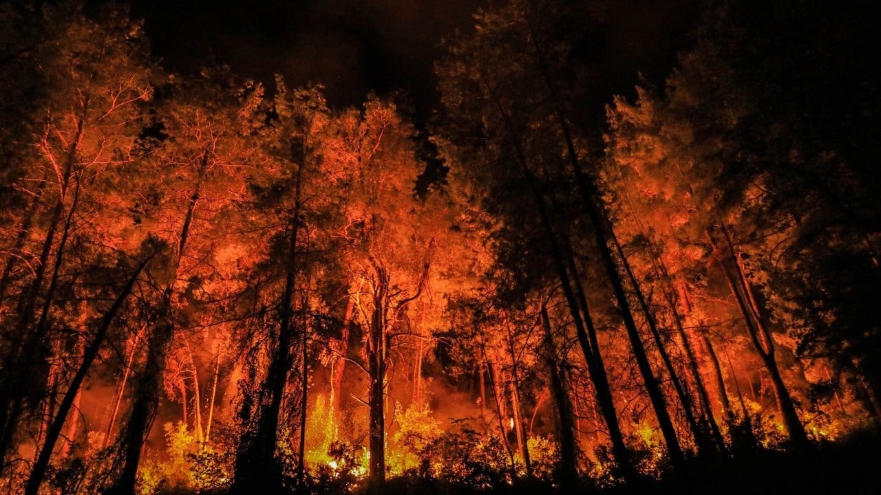 Foto - İhmal, kasıt ve dikkatsizlik ciğerlerimizi yaktı