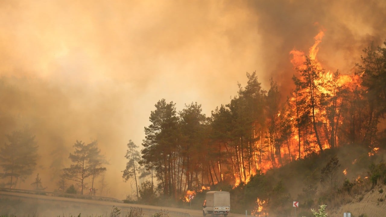 Foto - İhmal, kasıt ve dikkatsizlik ciğerlerimizi yaktı