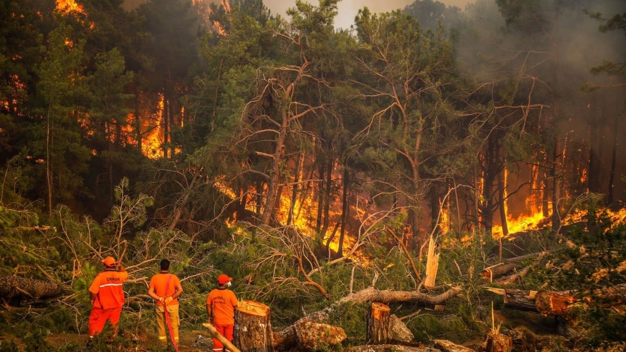 Foto - İhmal, kasıt ve dikkatsizlik ciğerlerimizi yaktı