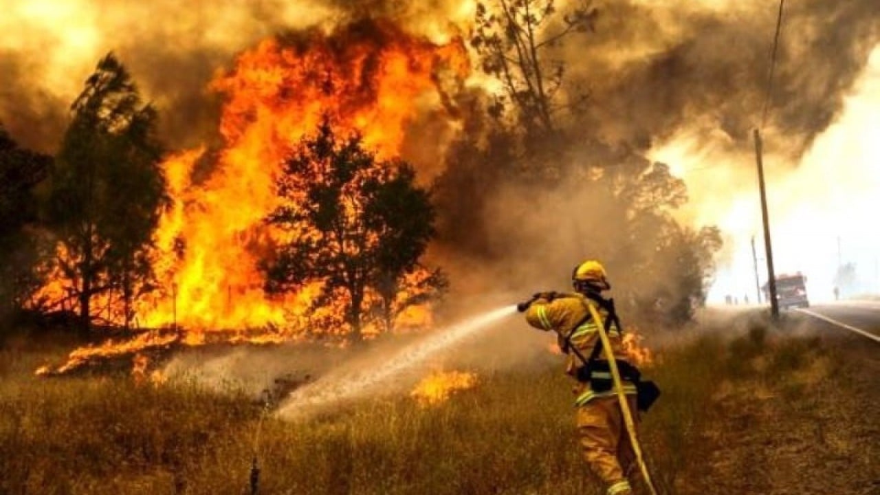 Foto - İhmal, kasıt ve dikkatsizlik ciğerlerimizi yaktı
