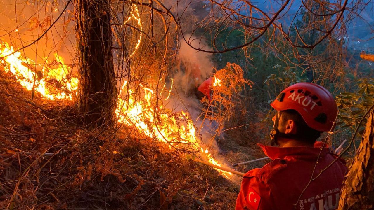 Foto - İhmal, kasıt ve dikkatsizlik ciğerlerimizi yaktı