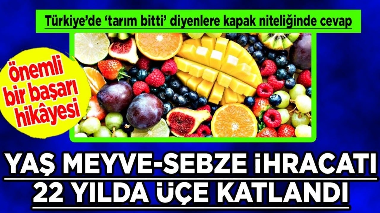 İhracat mercek altına alındı: Biber, Kayısı, kiraz, nar... Yaş sebze ve meyvelerin satışı 22 yılda üçe katlandı