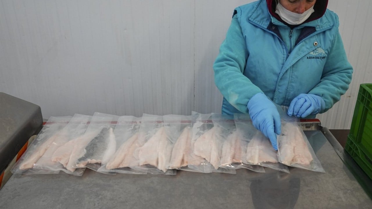 Foto - İki aylık ihracatta yüksek artış oldu! Su ürünlerinde yeni rekor beklentisi