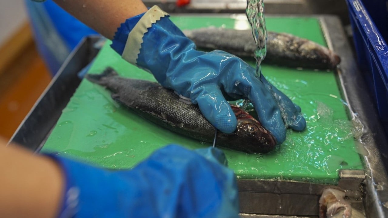 Foto - İki aylık ihracatta yüksek artış oldu! Su ürünlerinde yeni rekor beklentisi