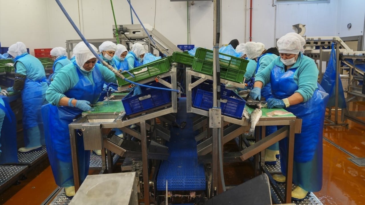 Foto - İki aylık ihracatta yüksek artış oldu! Su ürünlerinde yeni rekor beklentisi