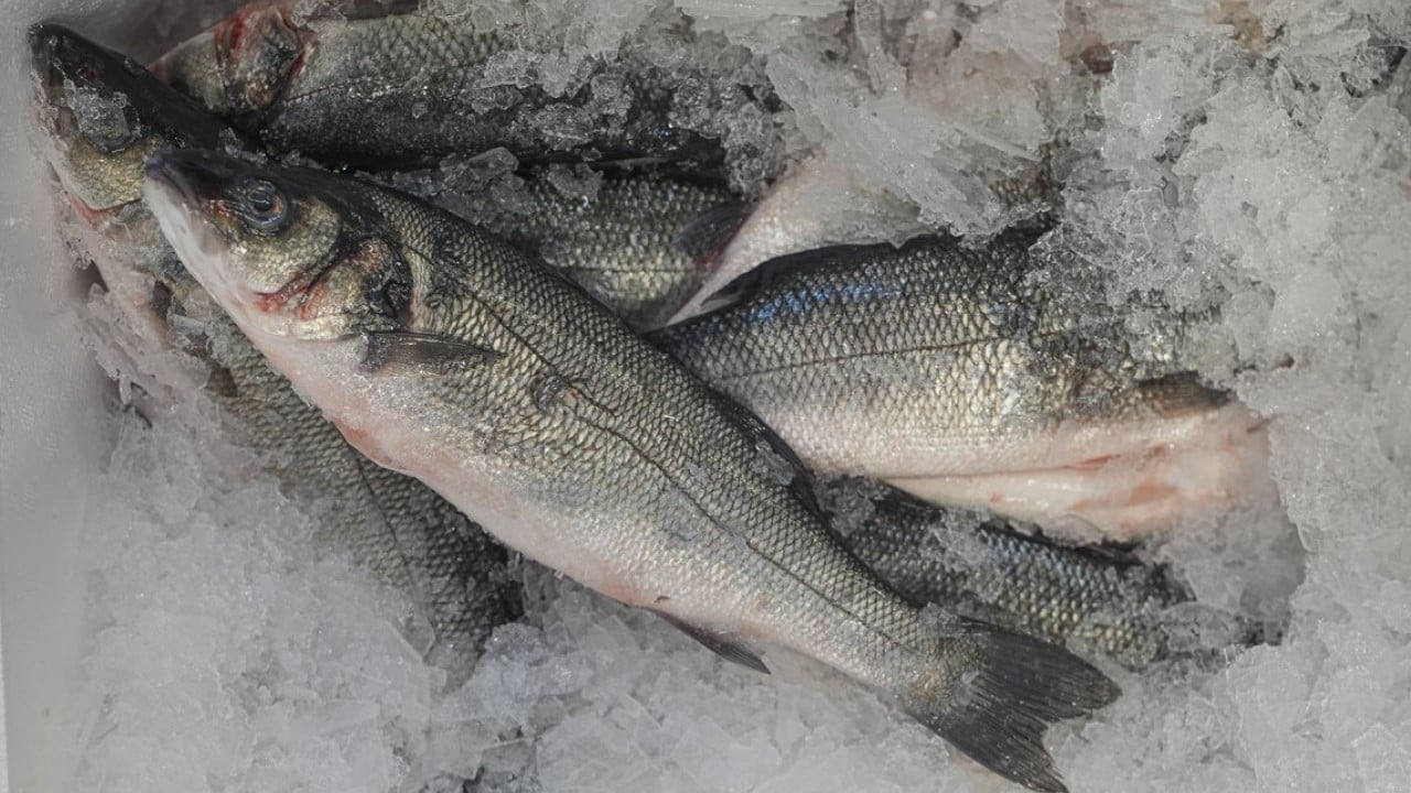 İki aylık ihracatta yüksek artış oldu! Su ürünlerinde yeni rekor beklentisi