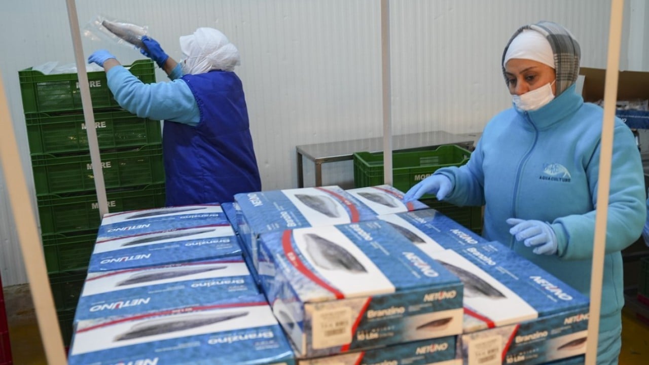 Foto - İki aylık ihracatta yüksek artış oldu! Su ürünlerinde yeni rekor beklentisi