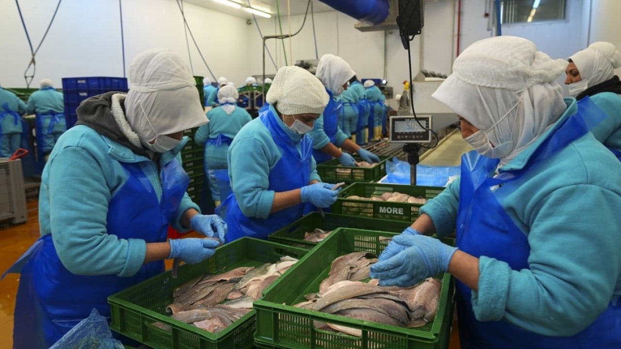 Foto - İki aylık ihracatta yüksek artış oldu! Su ürünlerinde yeni rekor beklentisi