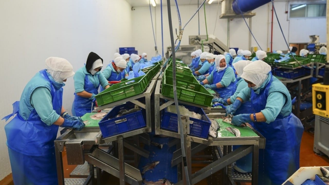 Foto - İki aylık ihracatta yüksek artış oldu! Su ürünlerinde yeni rekor beklentisi