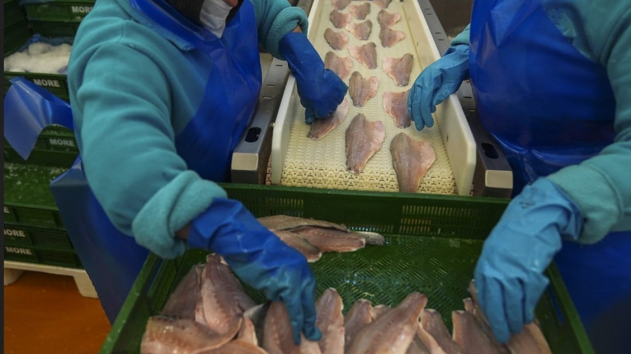 Foto - İki aylık ihracatta yüksek artış oldu! Su ürünlerinde yeni rekor beklentisi