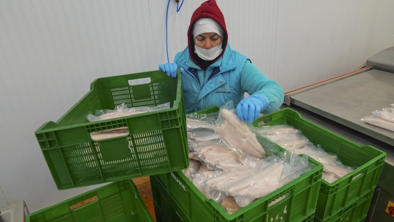 Foto - İki aylık ihracatta yüksek artış oldu! Su ürünlerinde yeni rekor beklentisi