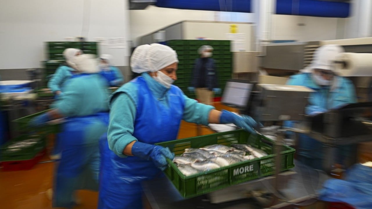 Foto - İki aylık ihracatta yüksek artış oldu! Su ürünlerinde yeni rekor beklentisi