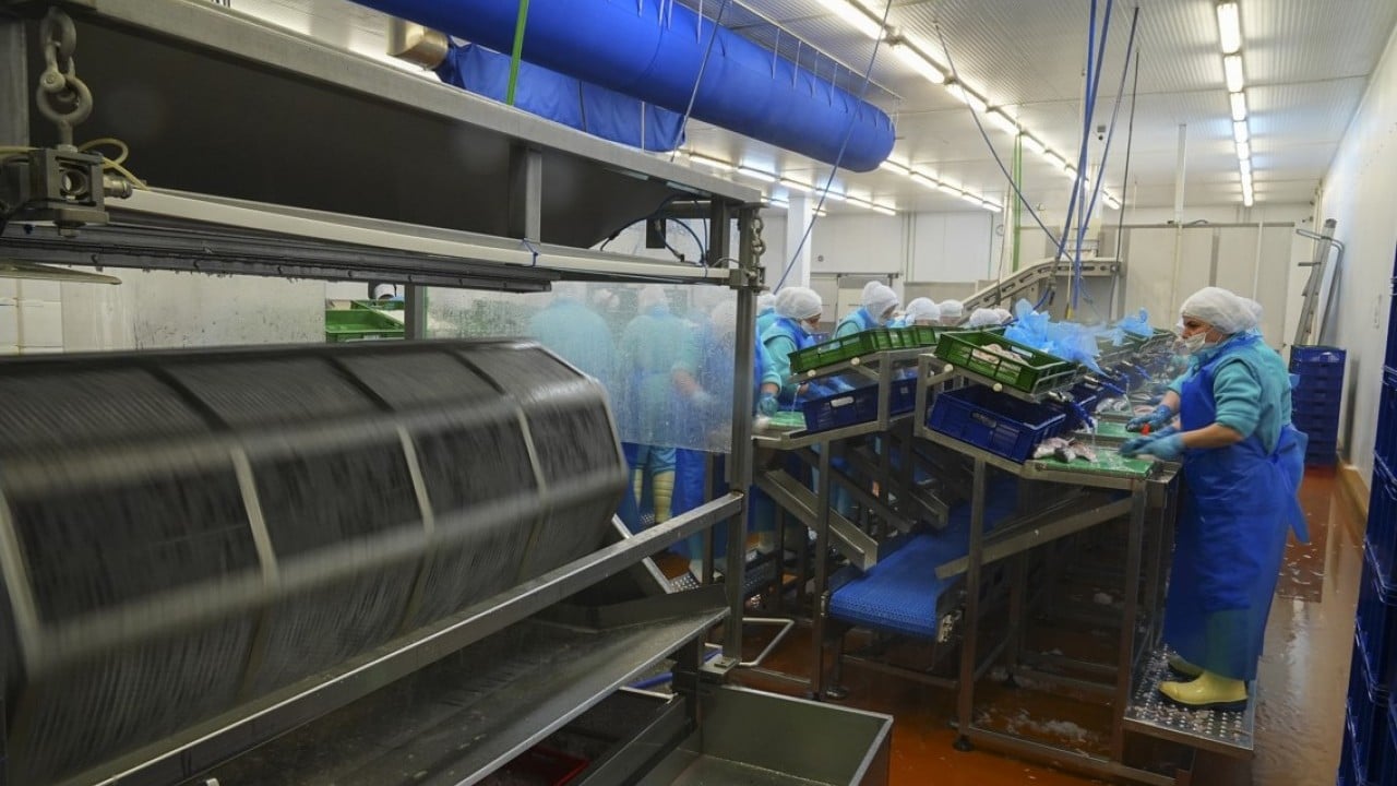 Foto - İki aylık ihracatta yüksek artış oldu! Su ürünlerinde yeni rekor beklentisi