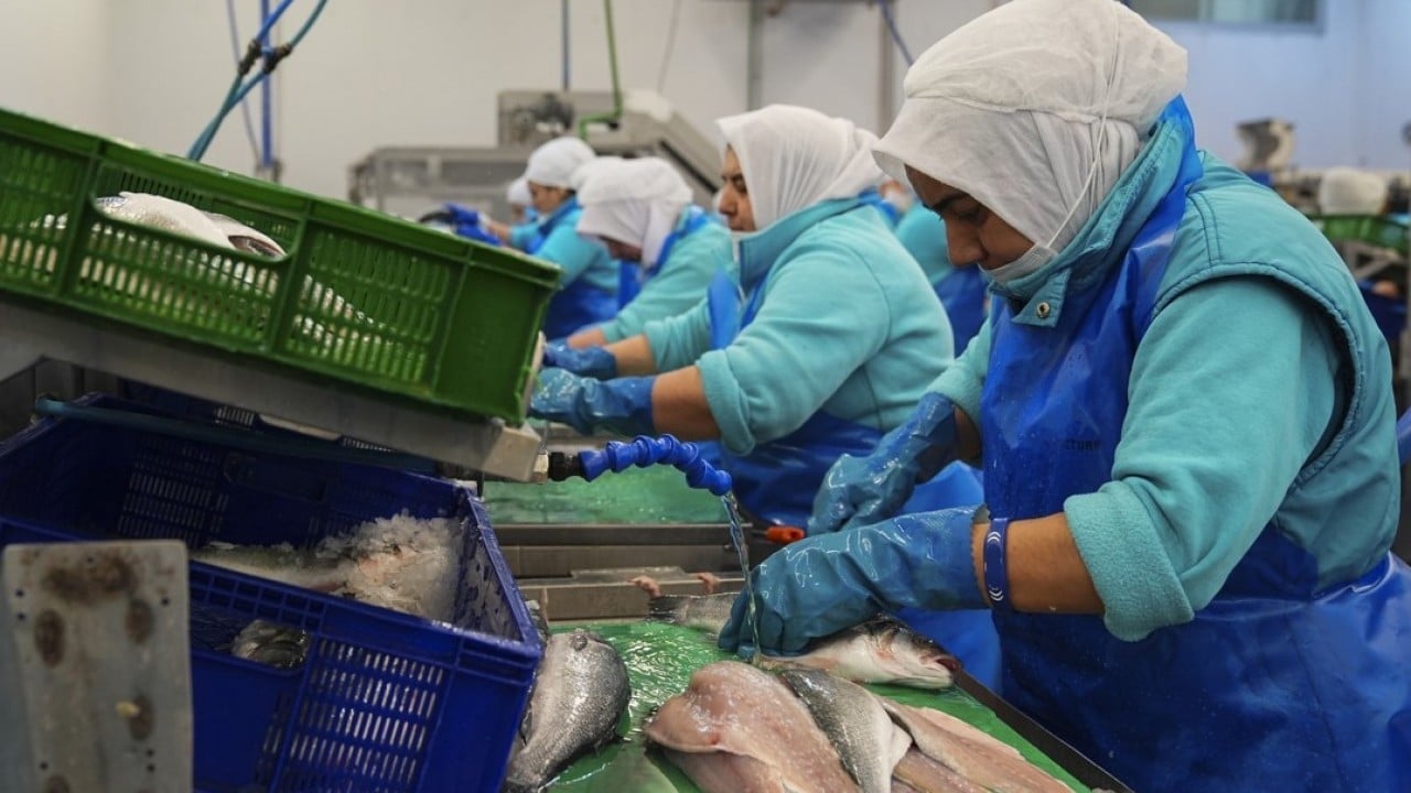 Foto - İki aylık ihracatta yüksek artış oldu! Su ürünlerinde yeni rekor beklentisi