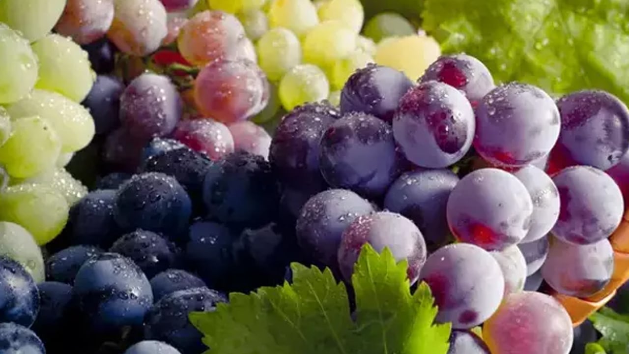 Foto - İki besin hasta etmiyor diyor! Canan Karatay'dan ezber bozan açıklama! 50 yıl boyunca bir bir anlattı, çarpıntının gizli sebebi 