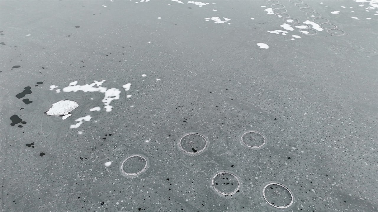 Foto - İki il arasında yapılmıştı! Barajdaki ‘yüzen adalar’ buz tuttu
