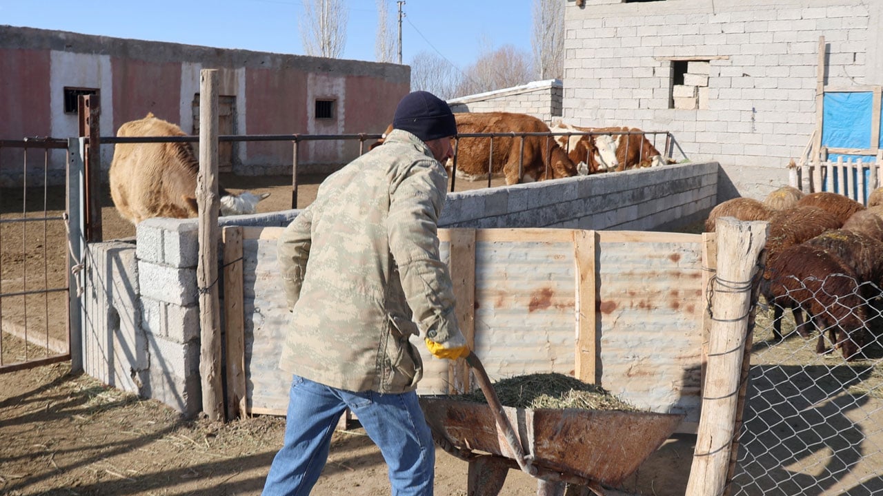 Foto - İki inekle başladı, sürü sahibi oldu! Devlet desteğiyle hayatı değişti