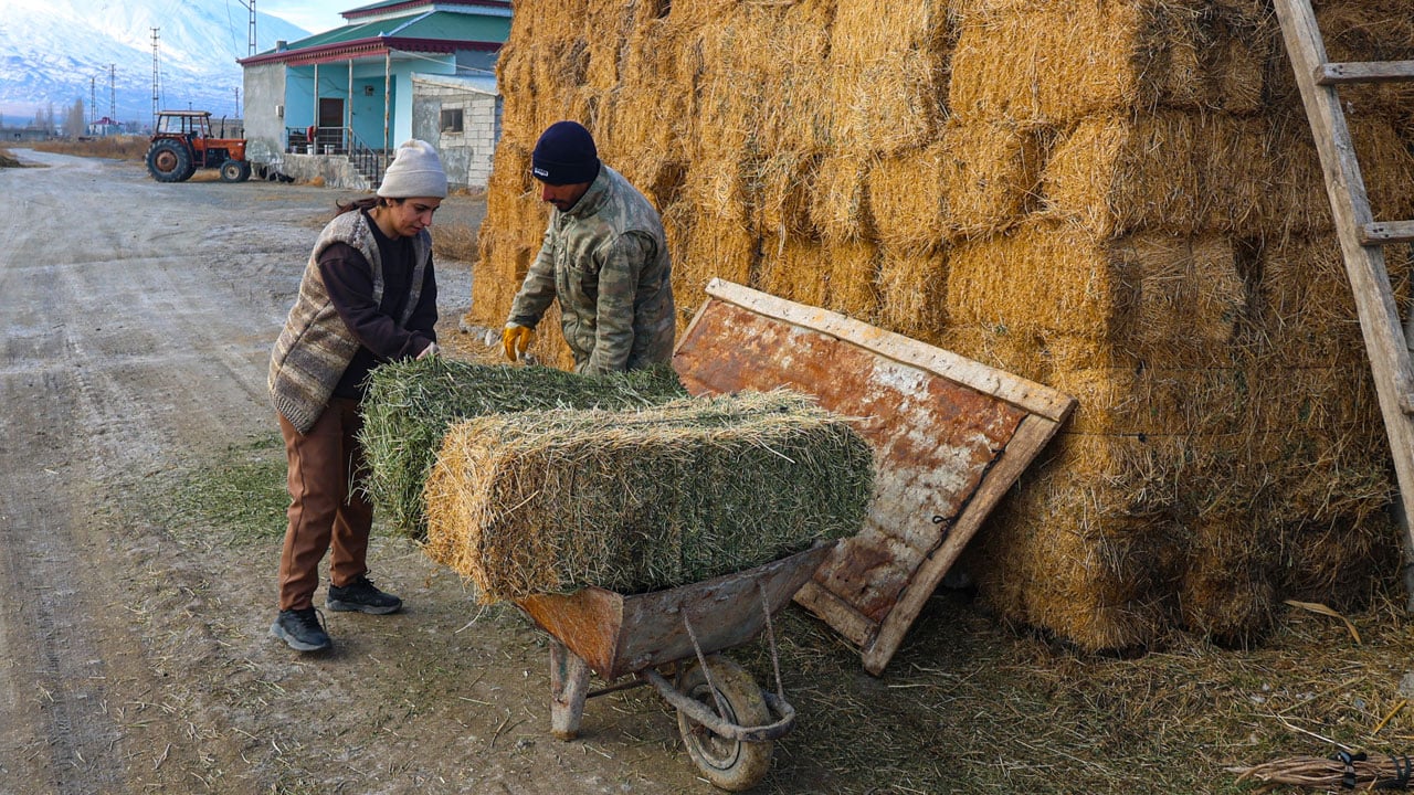 Foto - İki inekle başladı, sürü sahibi oldu! Devlet desteğiyle hayatı değişti