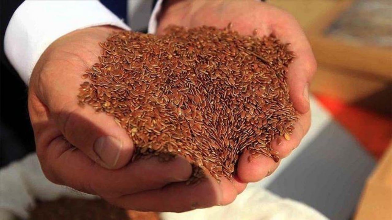 Foto - İki malzemeyle ağrılara son! İşte kemikleri beton gibi yapan karışım