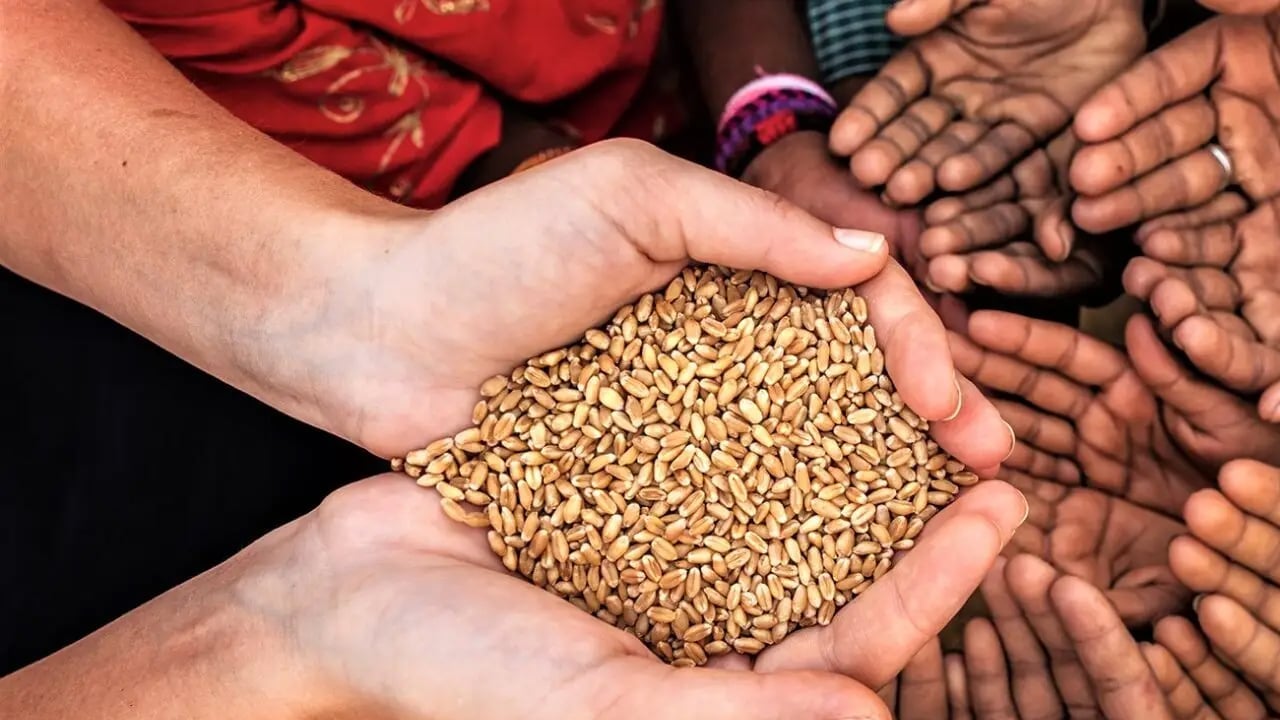 Foto - Afganistan ve Pakistan ticari yatırım ve insani yardım projeleri için yeni iş birliği görüşmelerine başladı