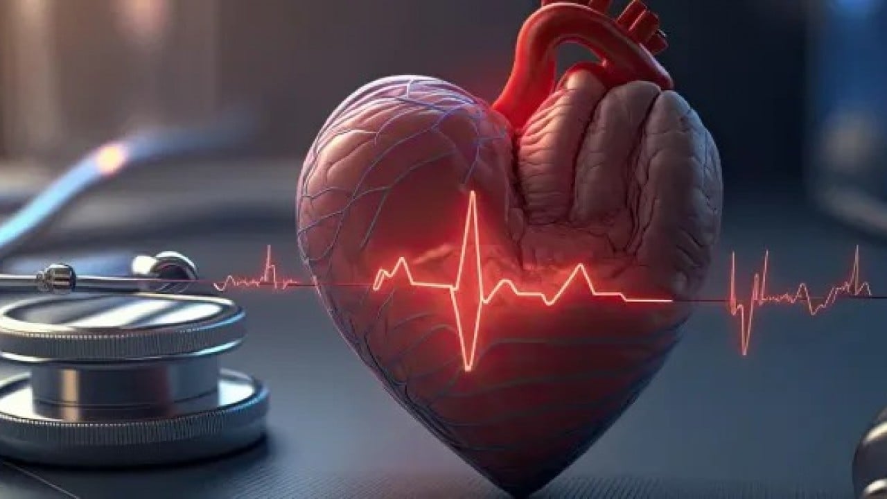 Foto - İki ülkenin bilim insanları birlikte çalışacak Bataryasız kalp pili müjdesi