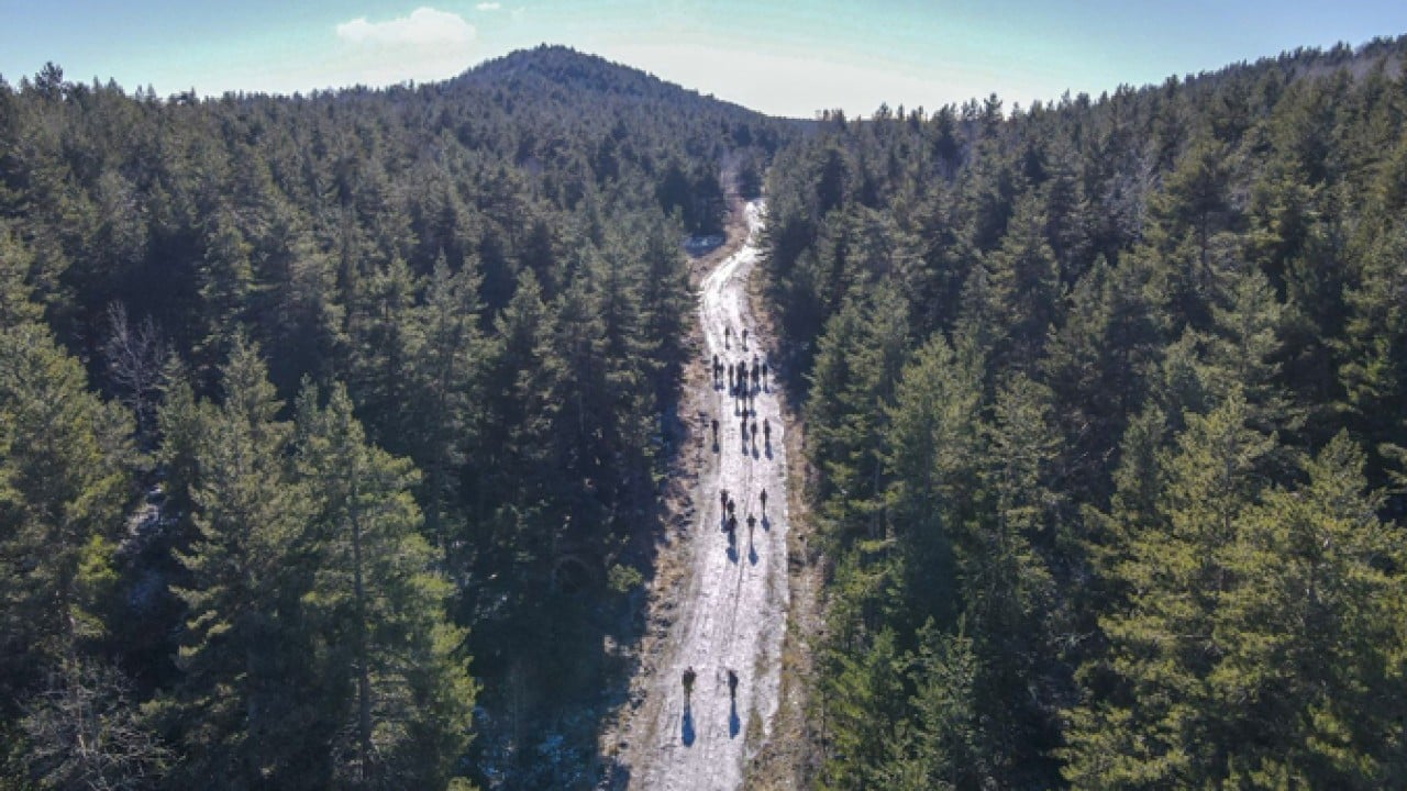 Foto - İklim değişikliğiyle mücadelede en kilit rol ormanların! 