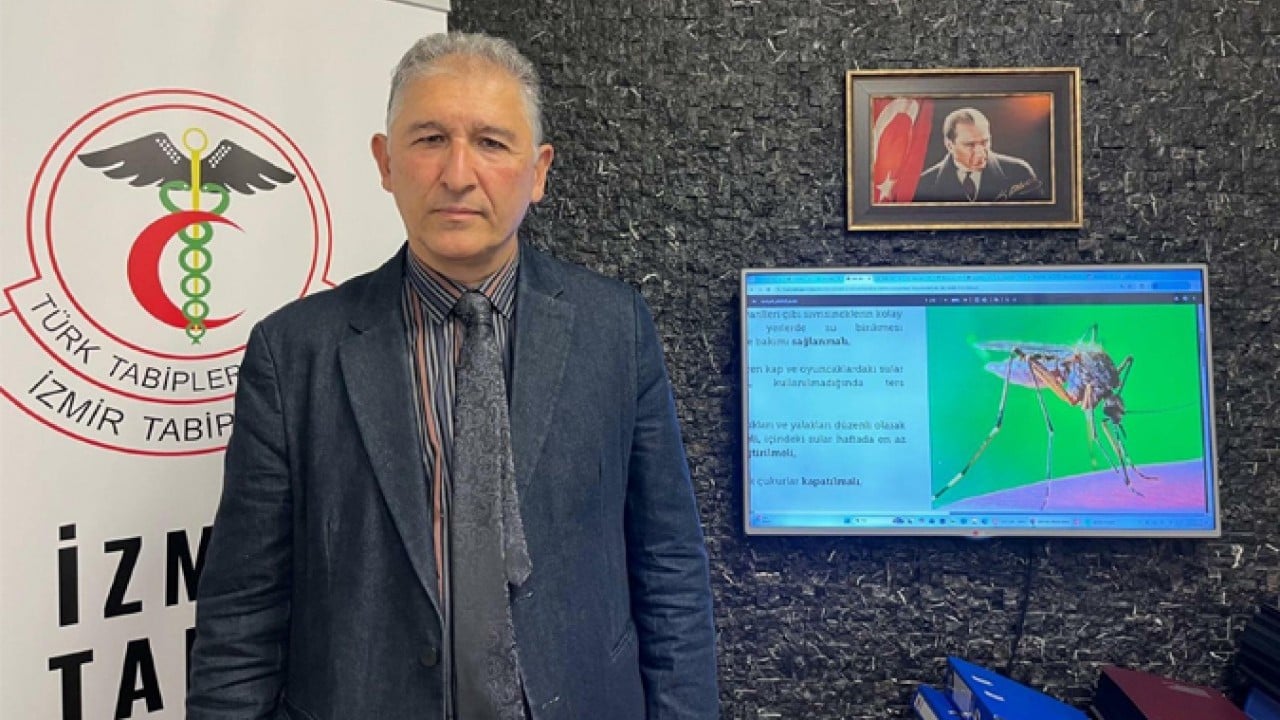 Foto - İklim değişti! Tropikal kökenli sivrisinekler Türkiye'ye taşındı