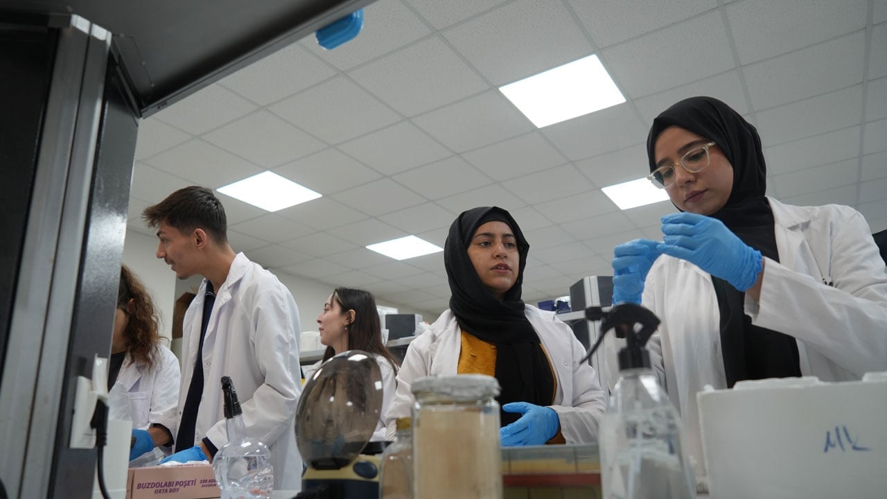 Foto - İklim krizine karşı yeni umut! Bu domates kuraklığa meydan okuyacak