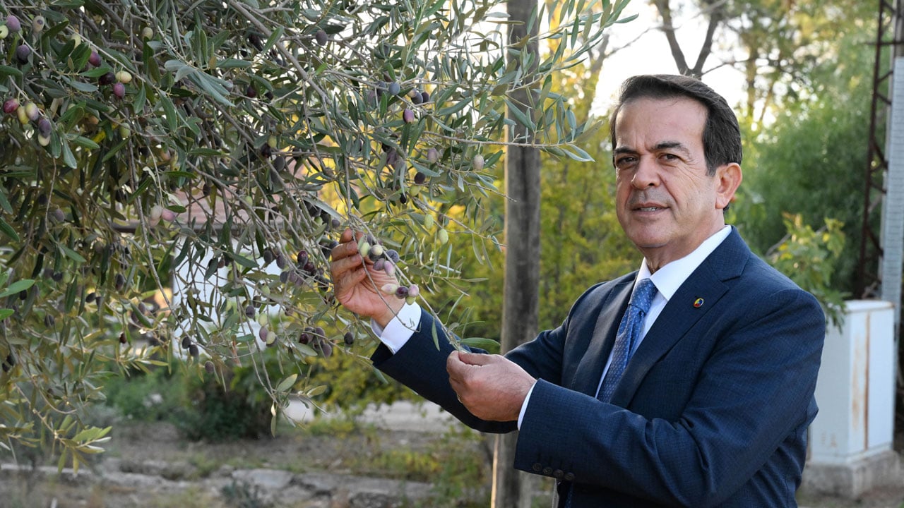 Foto - İklim vurdu, üretici endişeli! Rekolte yüzde 30 azaldı