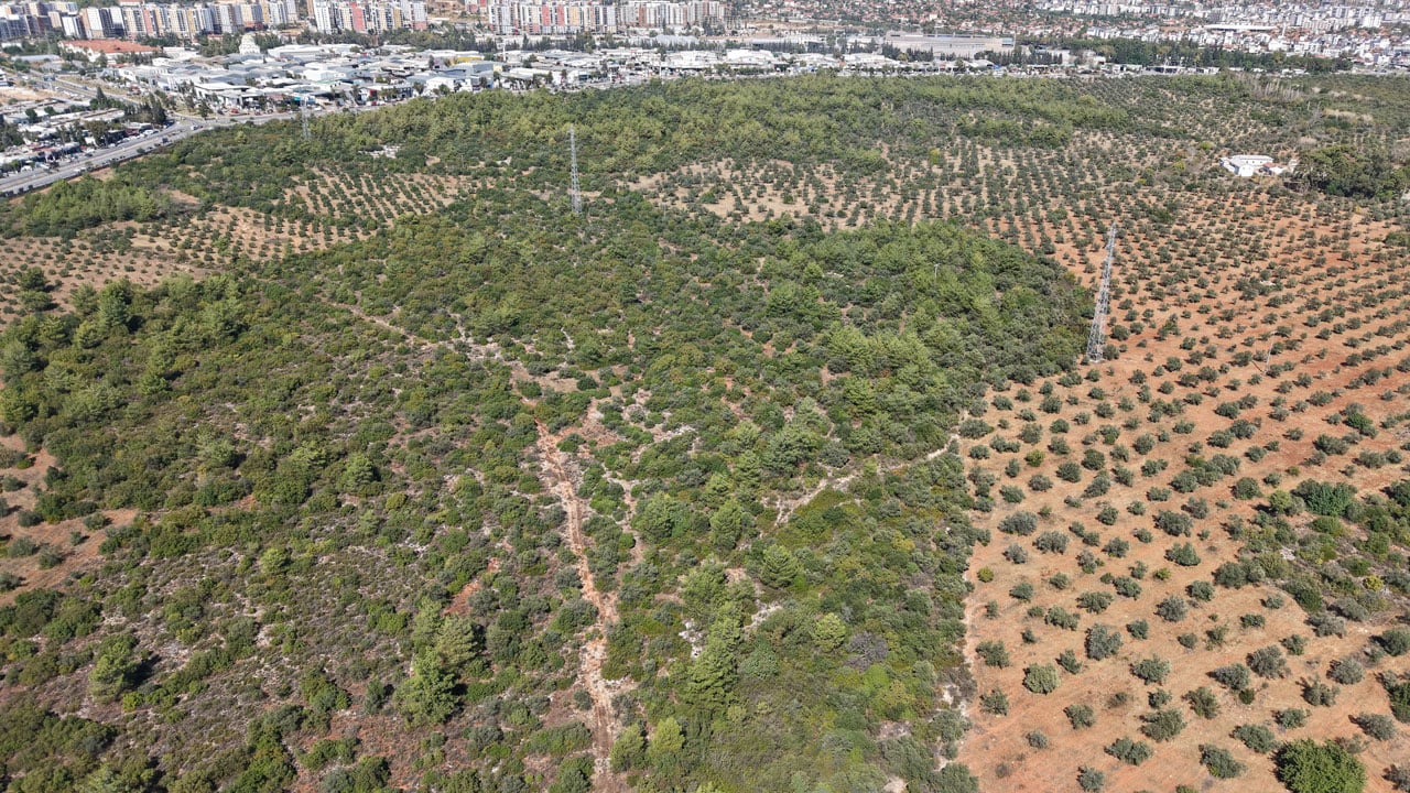 Foto - İklim vurdu, üretici endişeli! Rekolte yüzde 30 azaldı