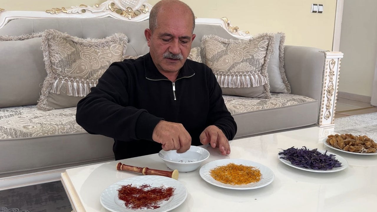 Foto - İklime inat üretime başladı! "Burada yetişmez" dediler, o başardı