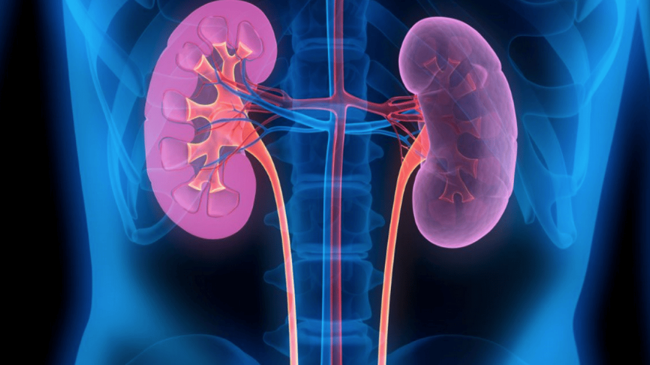Foto - İlginç gelişme olur hayatımızda sonra... Tansiyon ve böbrek hastalığı: birbirini etkileyen iki sessiz sorun