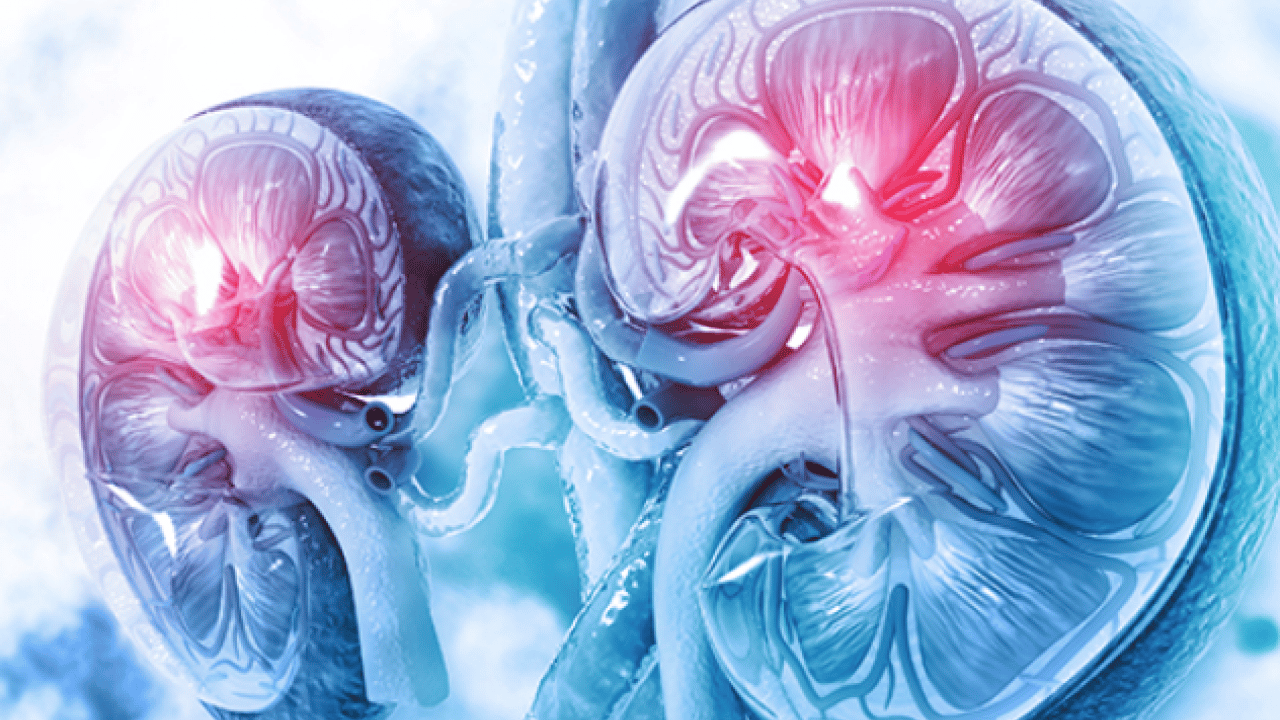 Foto - İlginç gelişme olur hayatımızda sonra... Tansiyon ve böbrek hastalığı: birbirini etkileyen iki sessiz sorun