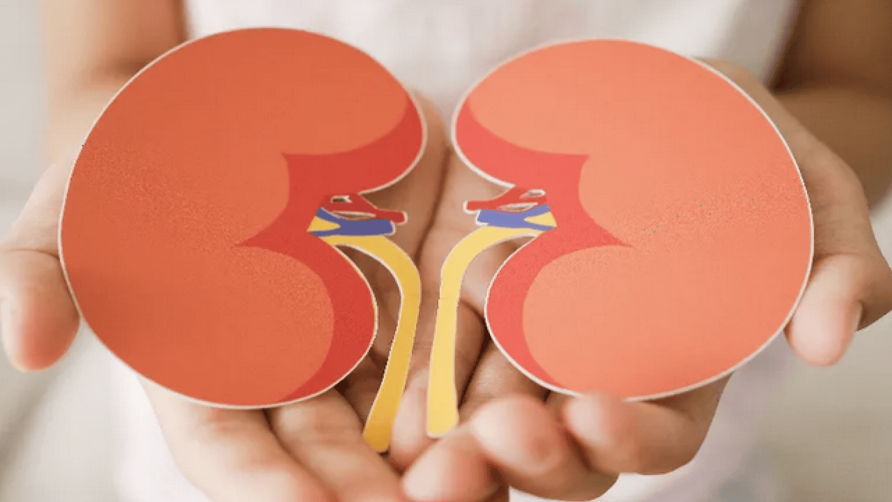 Foto - İlginç gelişme olur hayatımızda sonra... Tansiyon ve böbrek hastalığı: birbirini etkileyen iki sessiz sorun