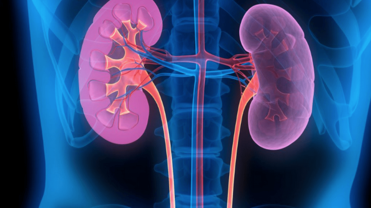 Foto - İlginç gelişme olur hayatımızda sonra... Tansiyon ve böbrek hastalığı: birbirini etkileyen iki sessiz sorun