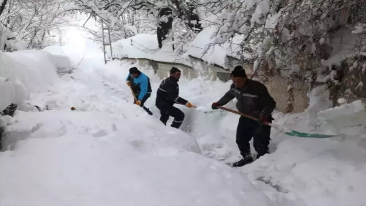 Foto - İlginç görüntüler... O şehrimizde karlar trafik lambalarına kadar ulaştı