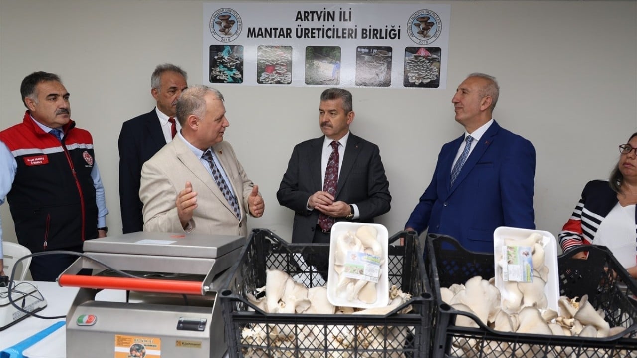 Foto - İlk hasadı yapıldı! Atıl tünelde istiridye mantarı yetiştirdiler