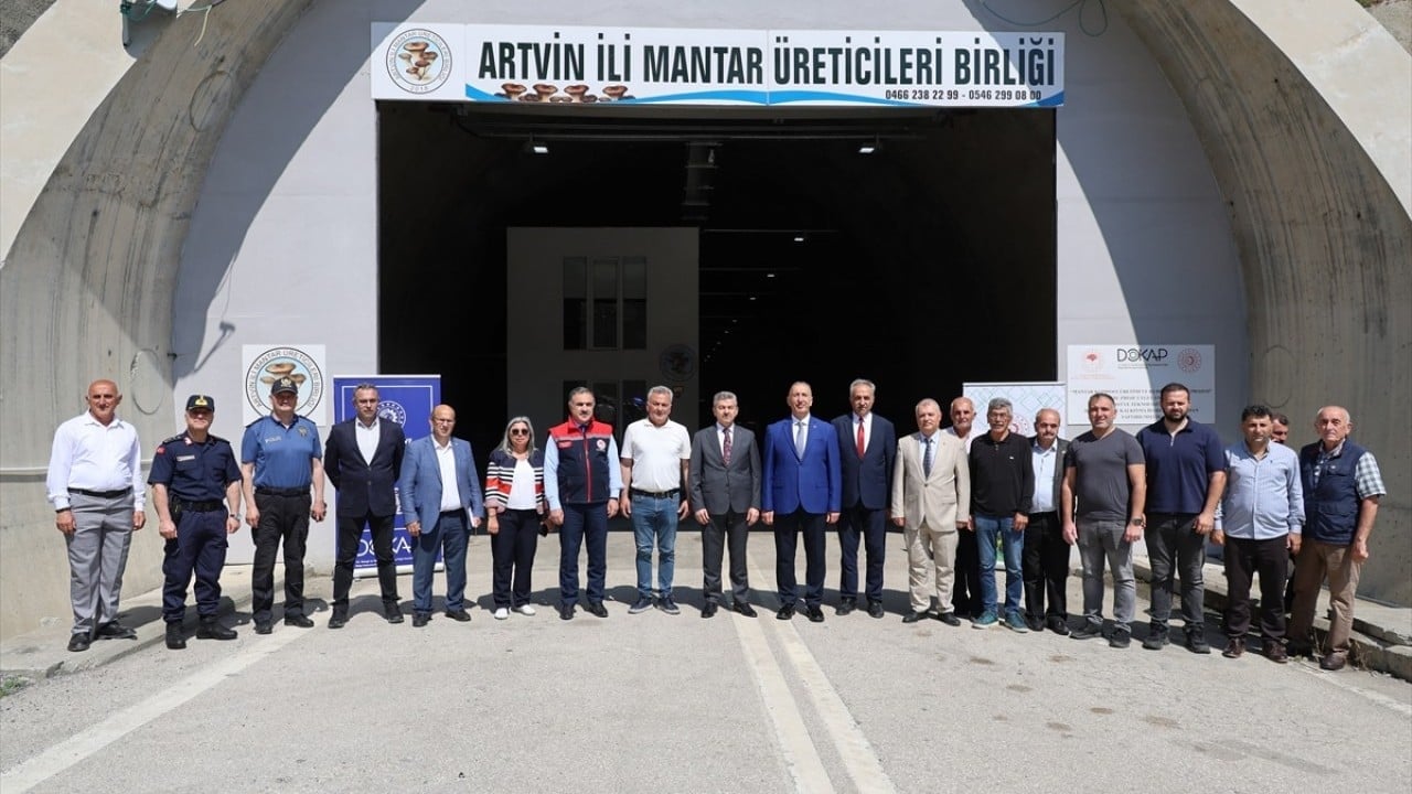 Foto - İlk hasadı yapıldı! Atıl tünelde istiridye mantarı yetiştirdiler