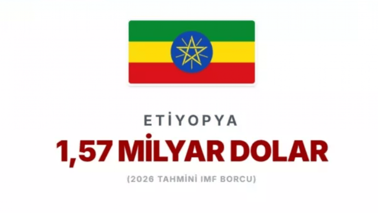 Foto - IMF'ye en çok borcu olan ülkeler belli oldu! Türkiye'nin borcu ne kadar? 