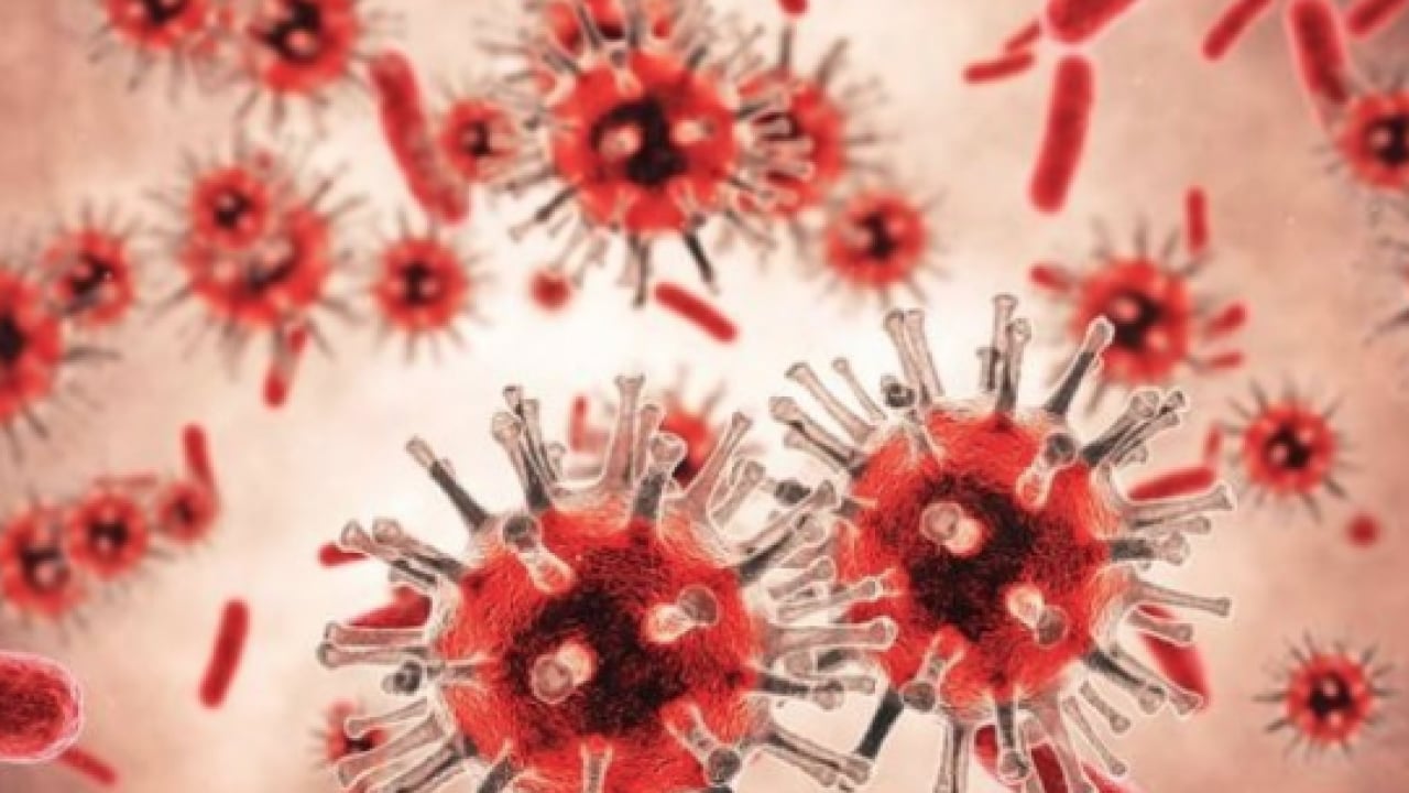 Foto - İmmün yetmezliği: Erken tanı ve doğru takip hayat kurtarıyor! İmmünsüpresif detayı...